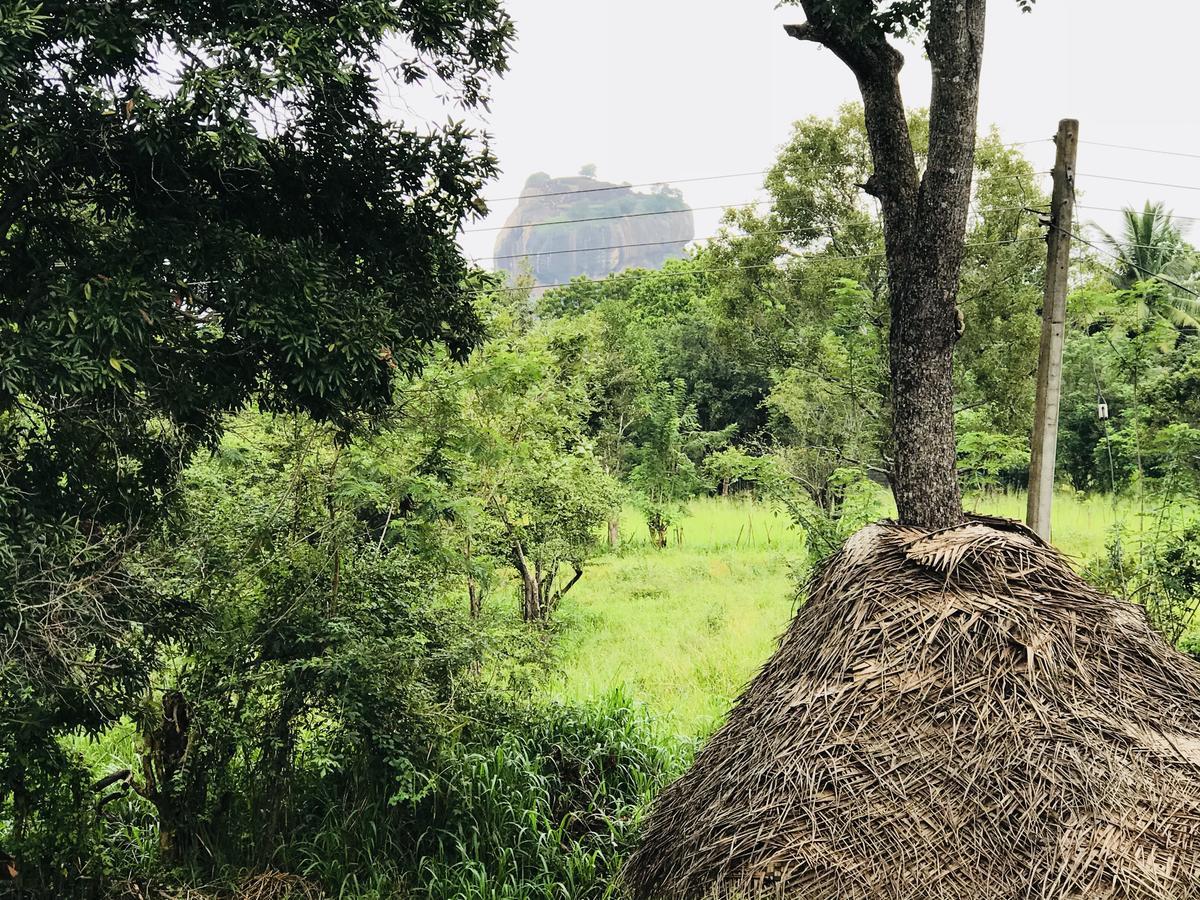 Sigiriya Rock Hide酒店 外观 照片