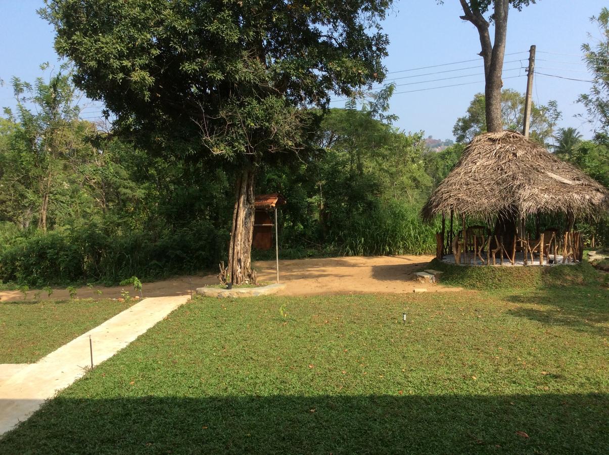 Sigiriya Rock Hide酒店 外观 照片