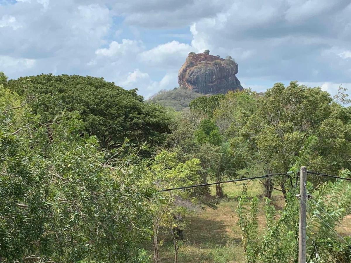 Sigiriya Rock Hide酒店 外观 照片