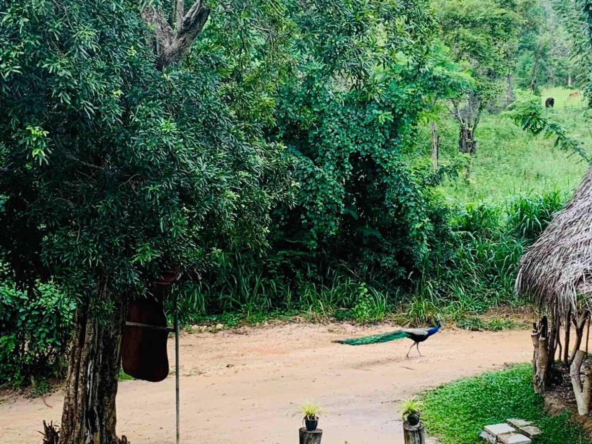 Sigiriya Rock Hide酒店 外观 照片